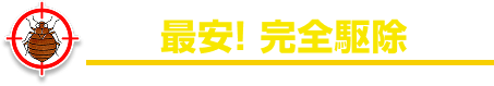 地域最安！完全駆除宣言