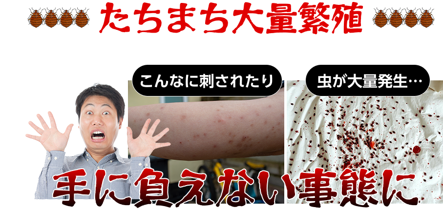 たちまち大量繁殖！手に負えない事態に