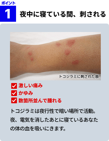 夜中に寝ている間、刺される