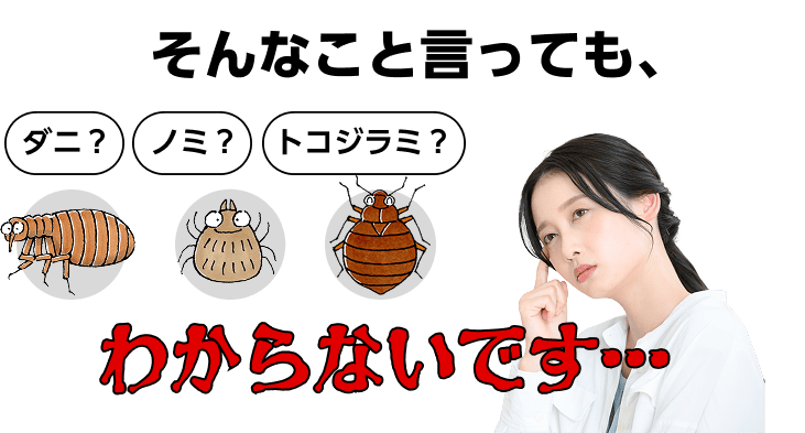 そんなこと言っても、わからないです…