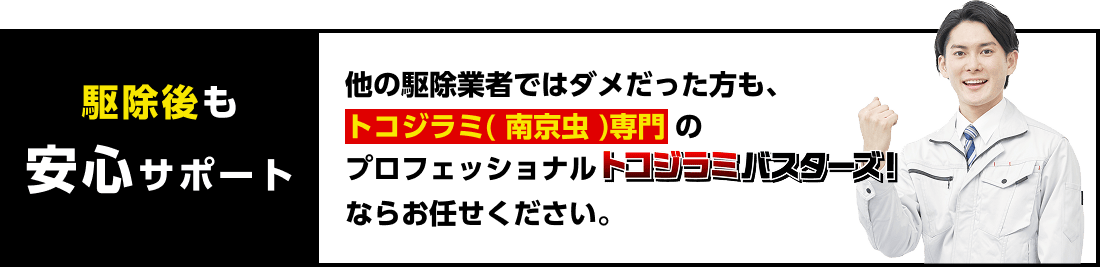 駆除後も安心サポート